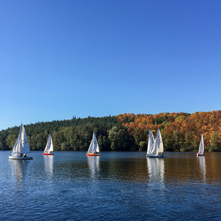 Regatta segelen